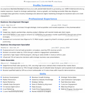 echotalent.net business development manager resume